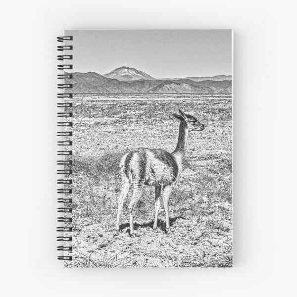 Item preview, Vicuna in the Argentine highlands designed and sold by Keltoi-art.