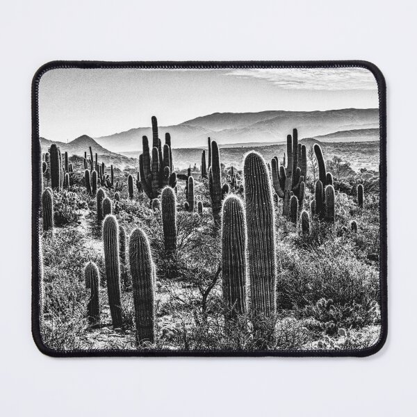 Item preview, Cactus forest in La Paya designed and sold by Keltoi-art.