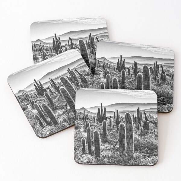 Item preview, Cactus forest in La Paya designed and sold by Keltoi-art.