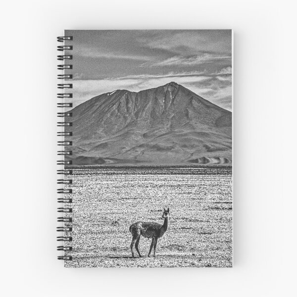 Item preview, Vicuna, black and white photo from Argentina designed and sold by Keltoi-art.