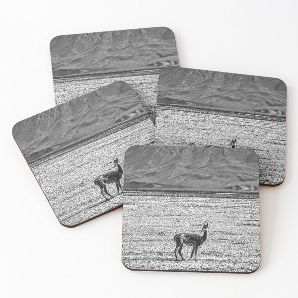 Item preview, Vicuna, black and white photo from Argentina designed and sold by Keltoi-art.