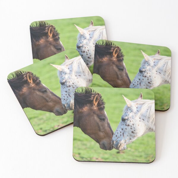 Item preview, Best Friends Forever designed and sold by Alison Meyer Photography.
