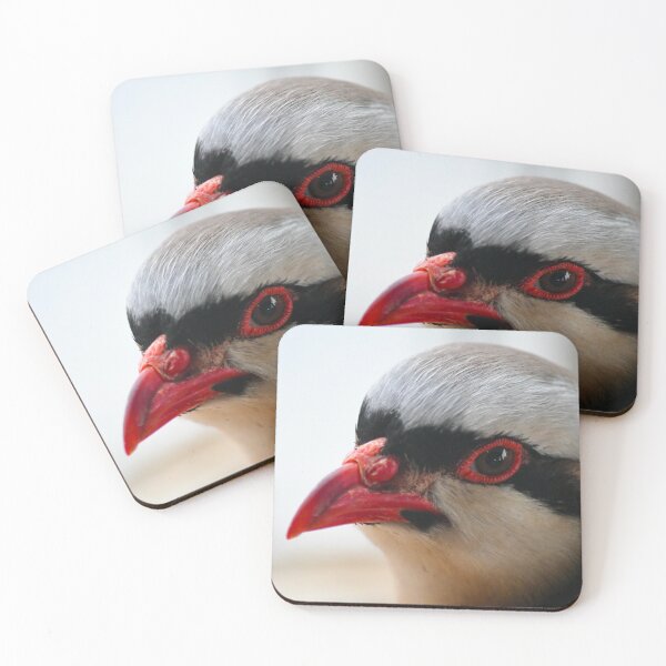 Item preview, Chokar Partridge designed and sold by richardbryce.