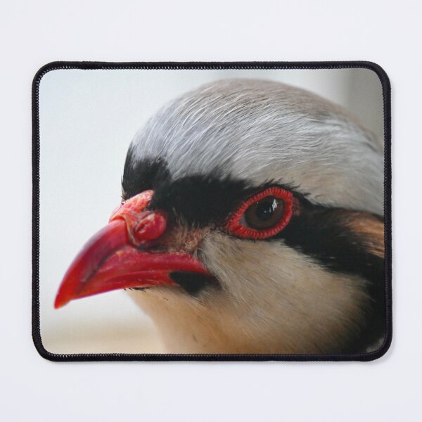 Item preview, Chokar Partridge designed and sold by richardbryce.