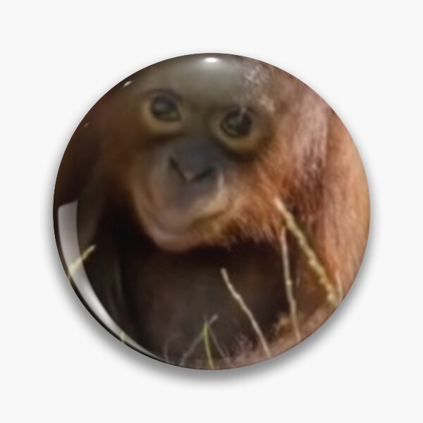 Item preview, baby orangutan designed and sold by monkey zone.