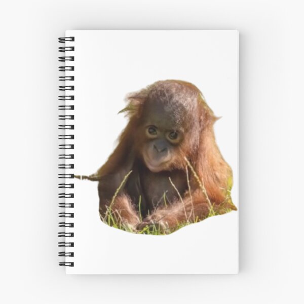 Item preview, baby orangutan designed and sold by monkey zone.
