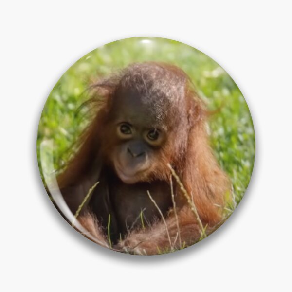 Item preview, baby orangutan designed and sold by monkey zone.