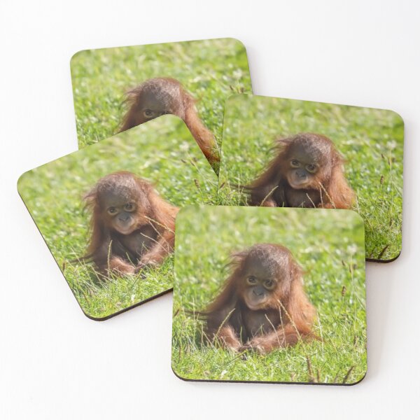 Item preview, baby orangutan designed and sold by monkey zone.