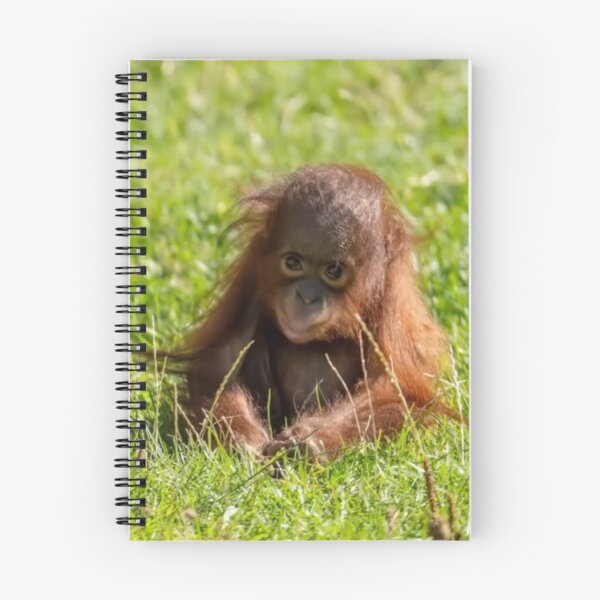 Item preview, baby orangutan designed and sold by monkey zone.