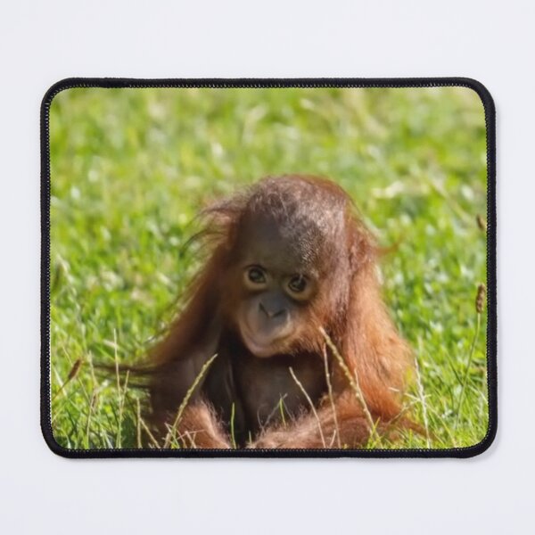 Item preview, baby orangutan designed and sold by monkey zone.