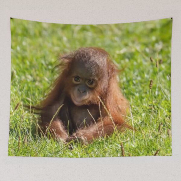 Item preview, baby orangutan designed and sold by monkey zone.