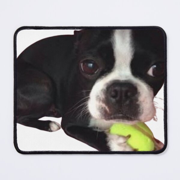 Item preview, dog with ball designed and sold by monkey zone.