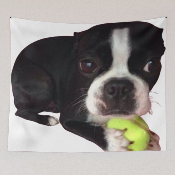 Item preview, dog with ball designed and sold by monkey zone.