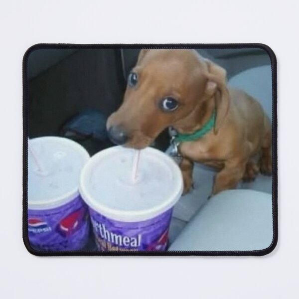 Item preview, doggy drinking soda designed and sold by monkey zone.