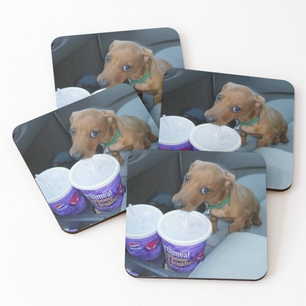 Item preview, doggy drinking soda designed and sold by monkey zone.