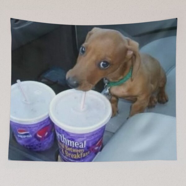 Item preview, doggy drinking soda designed and sold by monkey zone.