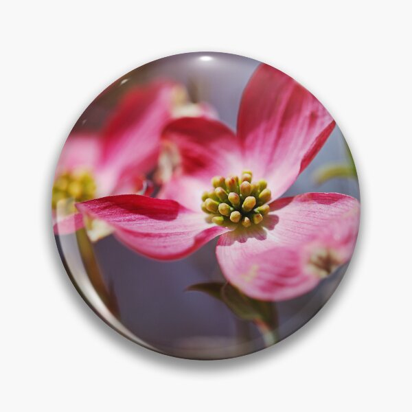 Item preview, Pink Dogwood Blossoms in Spring Time designed and sold by Joy Watson - Natural Light Photography .
