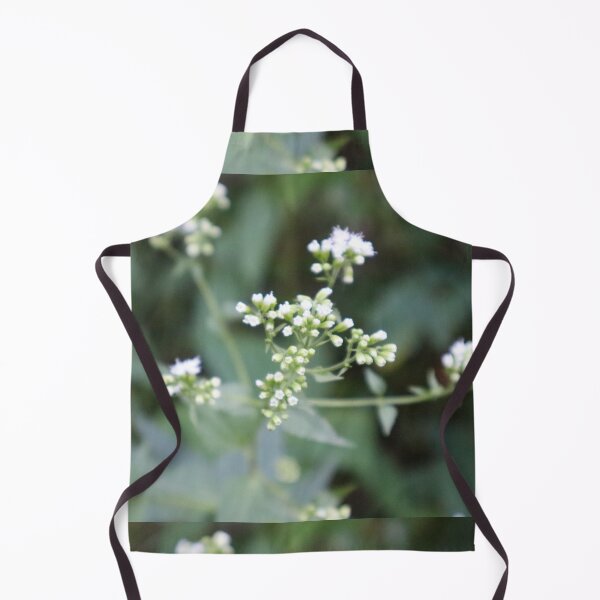 Item preview, White Snakeroot Wildflower Close-Up – Cluster of Tiny Blooms Nature Photography designed and sold by kenglishart.