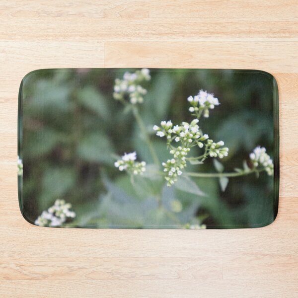 Item preview, White Snakeroot Wildflower Close-Up – Cluster of Tiny Blooms Nature Photography designed and sold by kenglishart.
