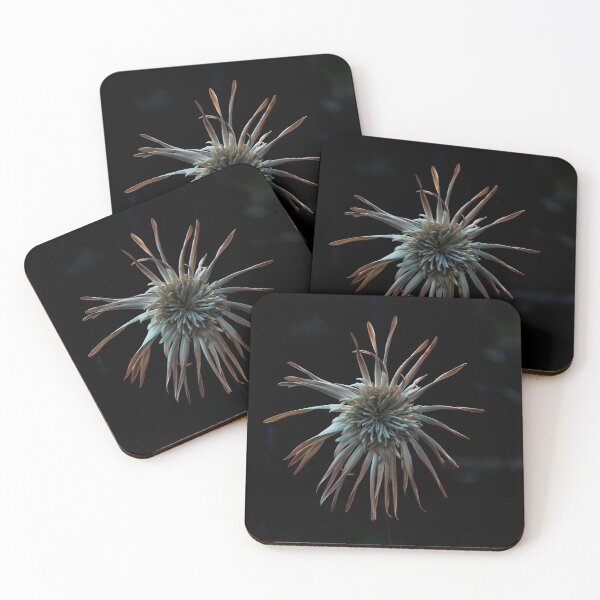 Item preview, Otherworldly designed and sold by IdleImages.