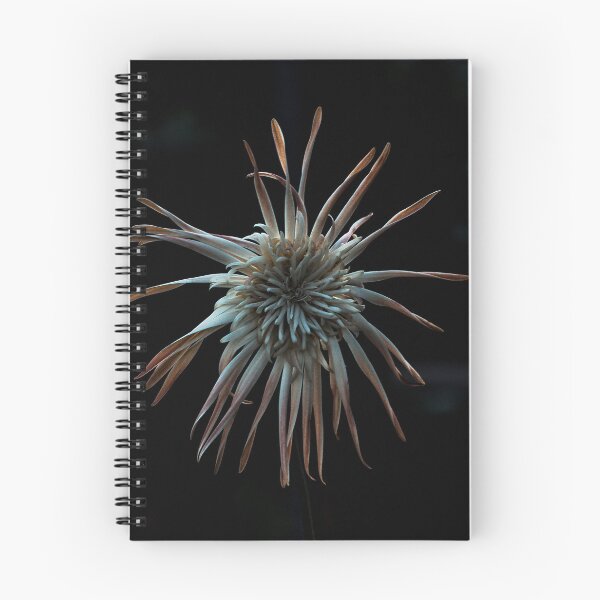 Item preview, Otherworldly designed and sold by IdleImages.