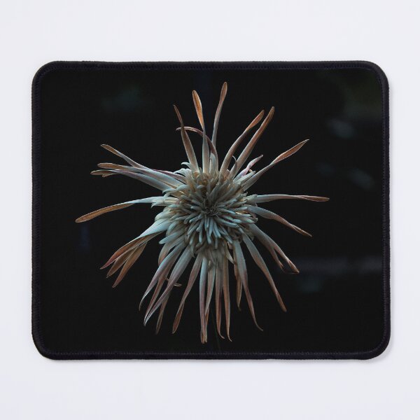 Item preview, Otherworldly designed and sold by IdleImages.