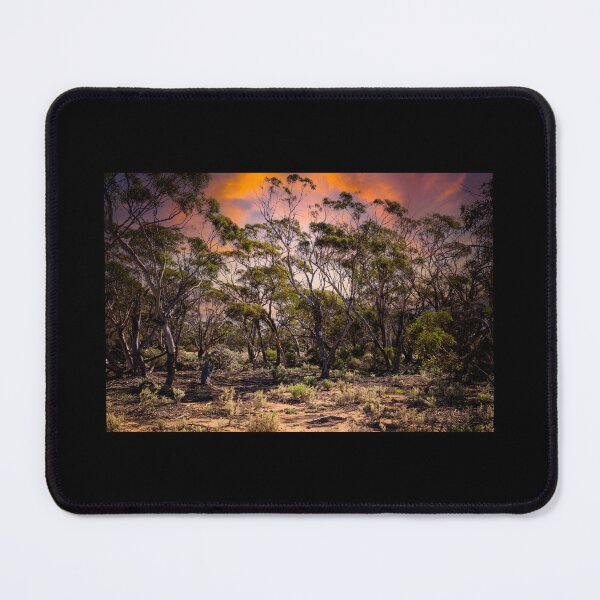 Item preview, Australian Moments – Bush Glow Australia Photography designed and sold by Michael van der Hoorn.