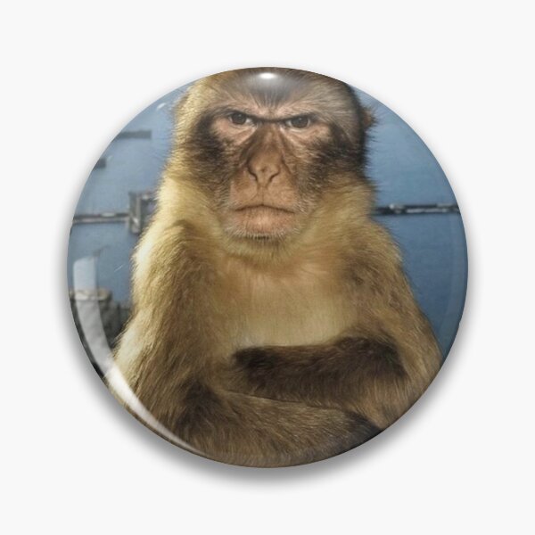 Item preview, angry monkey designed and sold by monkey zone.