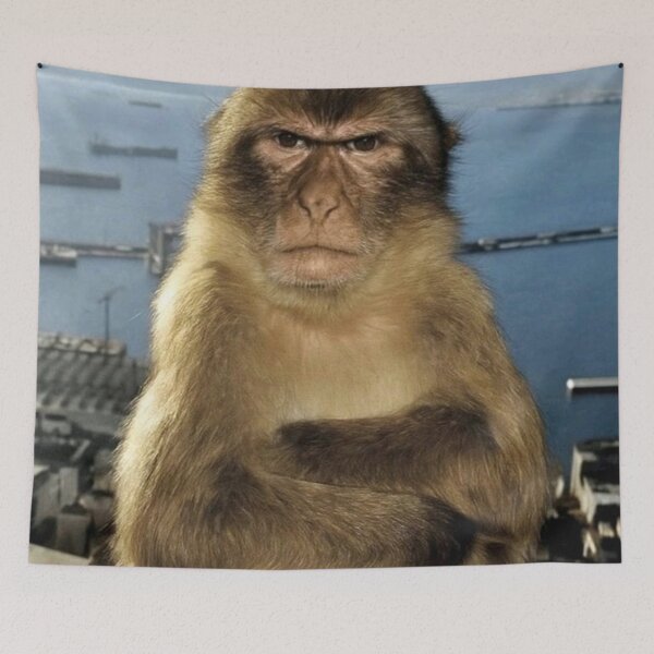 Item preview, angry monkey designed and sold by monkey zone.