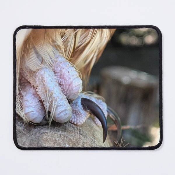 Item preview, Owl Claws designed and sold by MissinInAction.