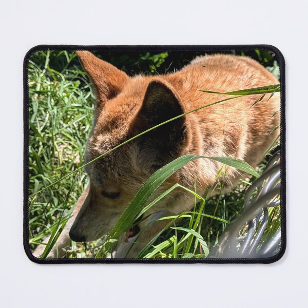 Item preview, Fox designed and sold by MissinInAction.