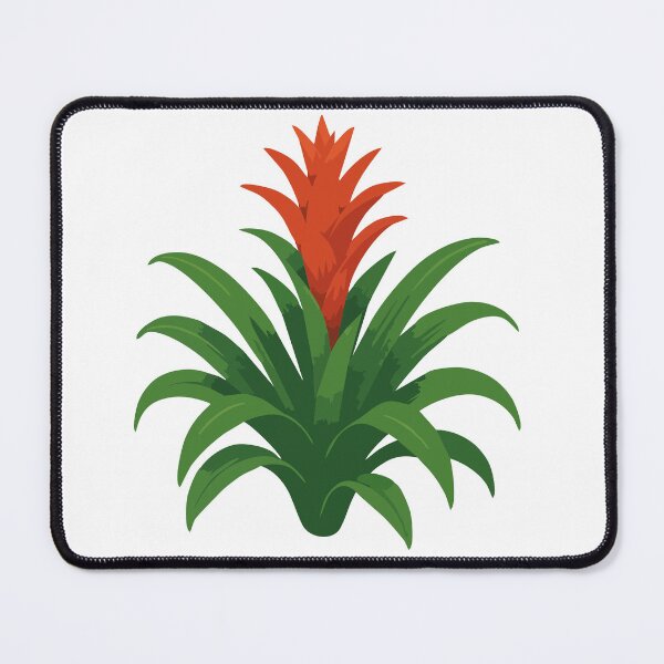 Artikelvorschau, Bromelien-Blumen-Clipart entworfen und verkauft von Art_Layer.