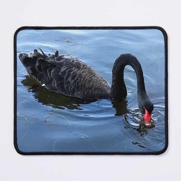 Item preview, Swan designed and sold by MissinInAction.