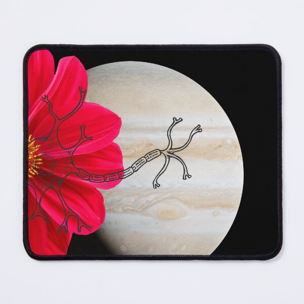 Item preview,  reallife is proof of the existence of God designed and sold by SKYSHOP007.
