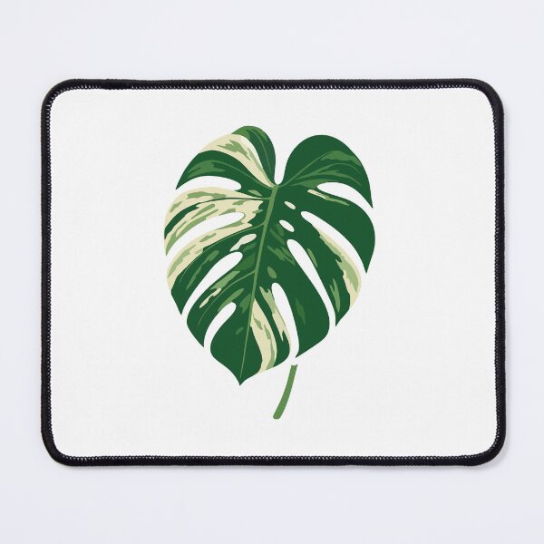 Item preview, Monstera Leaf Clipart designed and sold by Art_Layer.