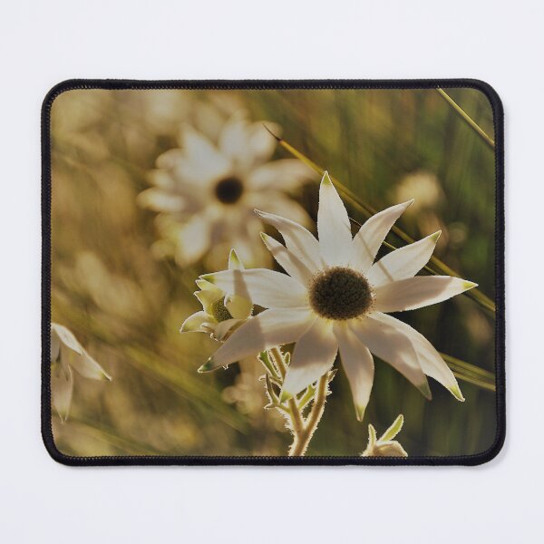 Item preview, Flannel flowers designed and sold by Sophie Bouris.
