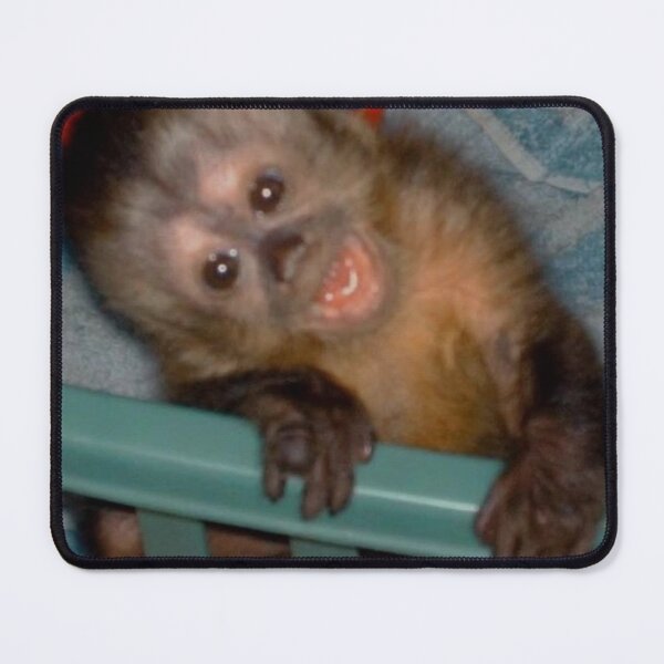 Item preview, goofy lil monkey  designed and sold by monkey zone.