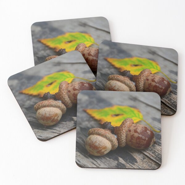 Item preview, Acorns  designed and sold by DavidePoggio.