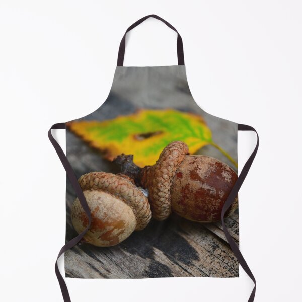 Item preview, Acorns designed and sold by DavidePoggio.