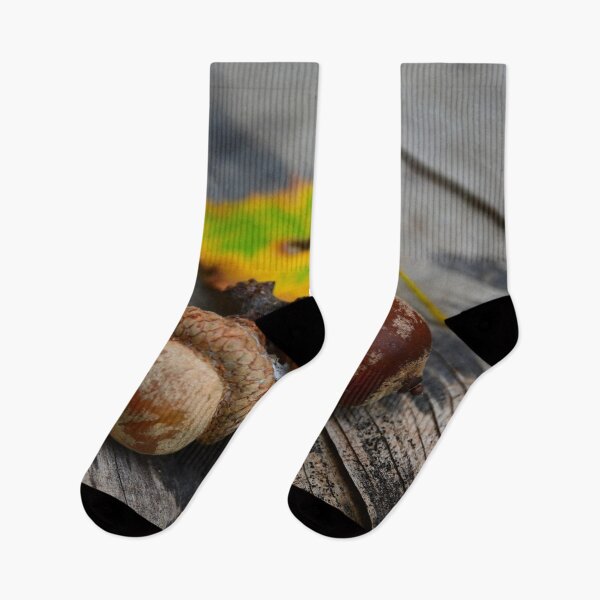 Item preview, Acorns  designed and sold by DavidePoggio.