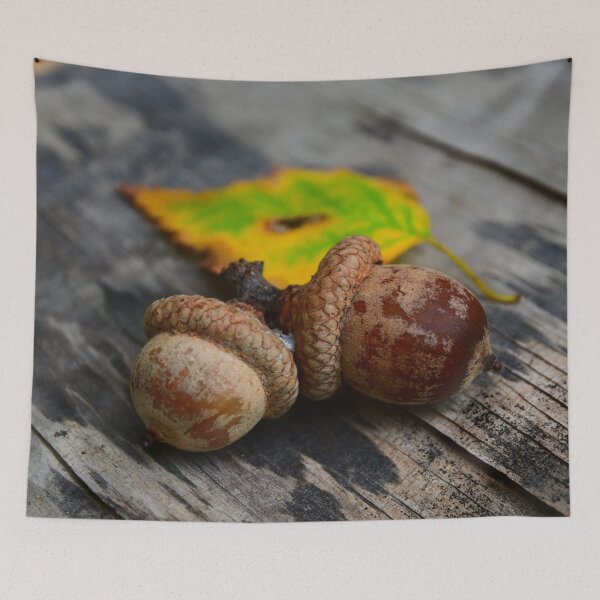 Item preview, Acorns  designed and sold by DavidePoggio.