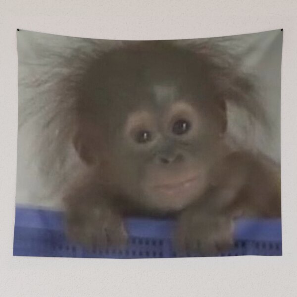 Item preview, frazzeled orangutan designed and sold by monkey zone.