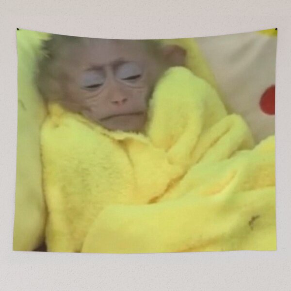Item preview, cozy monkey in blankey designed and sold by monkey zone.