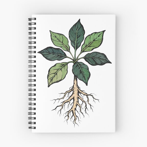Aperçu de l'œuvre Plante verte avec racine créée et vendue par SugarCore.