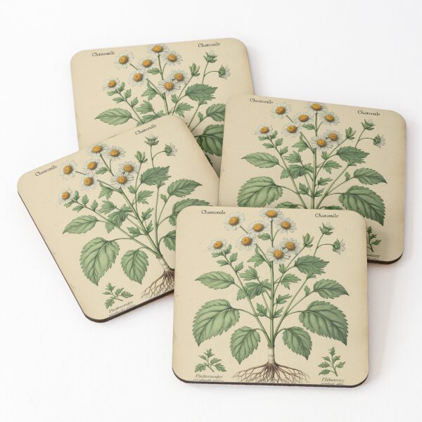 Item preview, Antique Chamomile Medicinal Herb Study designed and sold by PrimeGens.