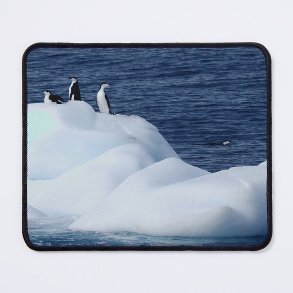 Item preview, Chinstrap penguins on ice 1 designed and sold by SBPenguins.