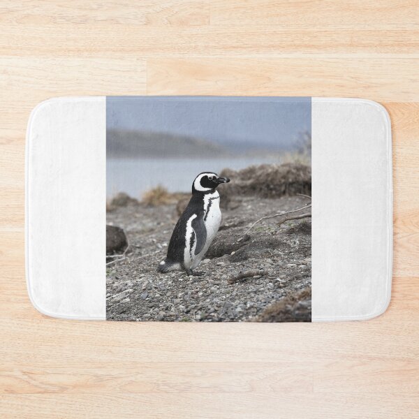 Item preview, Magellanic Penguin protecting nest on Isla Martillo designed and sold by SBPenguins.