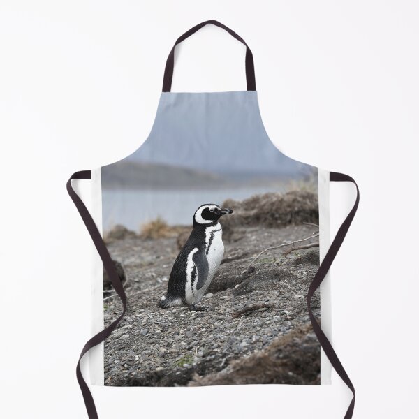 Item preview, Magellanic Penguin protecting nest on Isla Martillo designed and sold by SBPenguins.