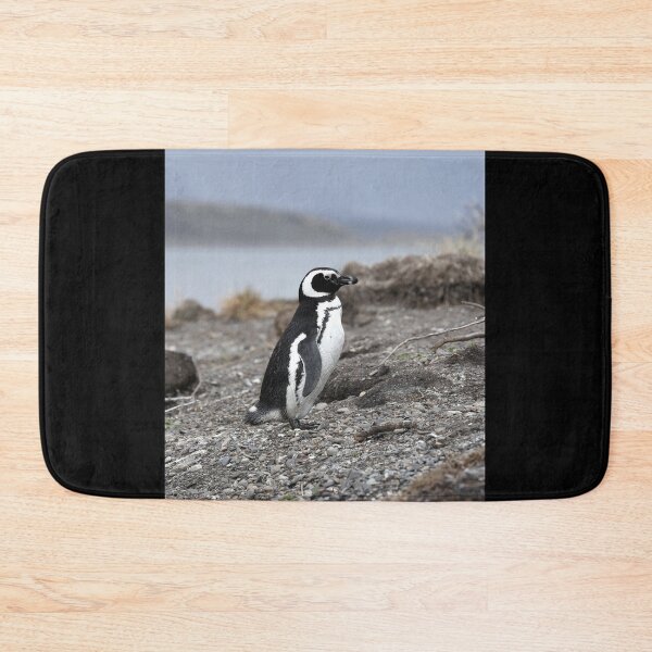 Item preview, Magellanic Penguin protecting nest on Isla Martillo black background designed and sold by SBPenguins.