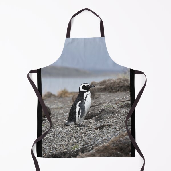 Item preview, Magellanic Penguin protecting nest on Isla Martillo black background designed and sold by SBPenguins.